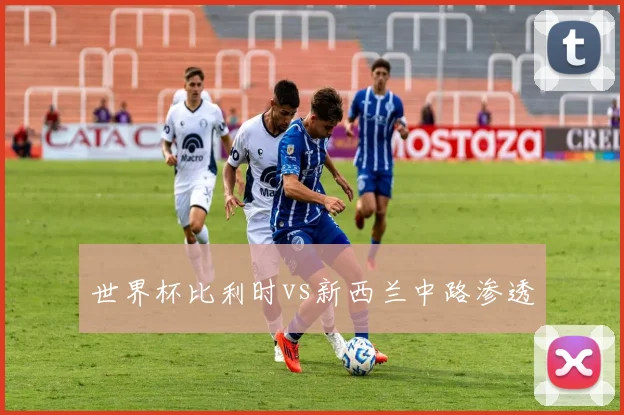 世界杯比利时vs新西兰中路渗透