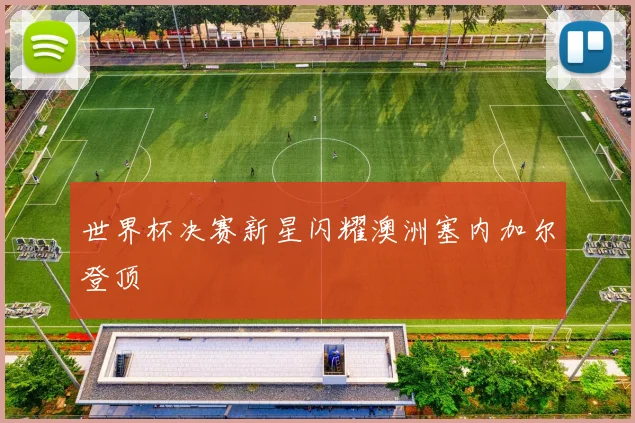 世界杯决赛新星闪耀澳洲塞内加尔登顶