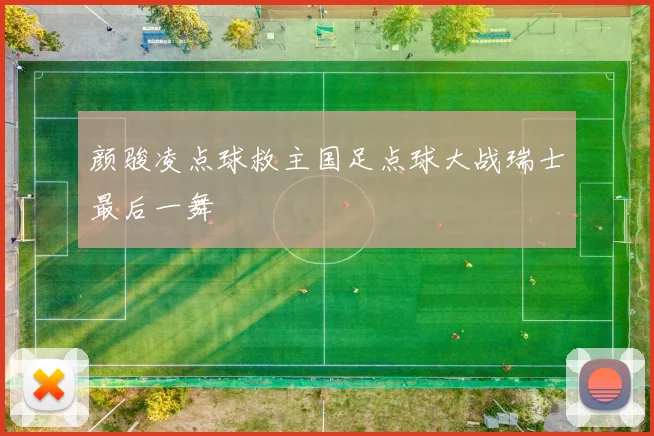 颜骏凌点球救主国足点球大战瑞士最后一舞